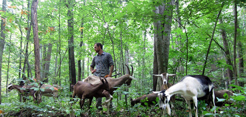 photo of paul with creekside farm with his goats on the garm